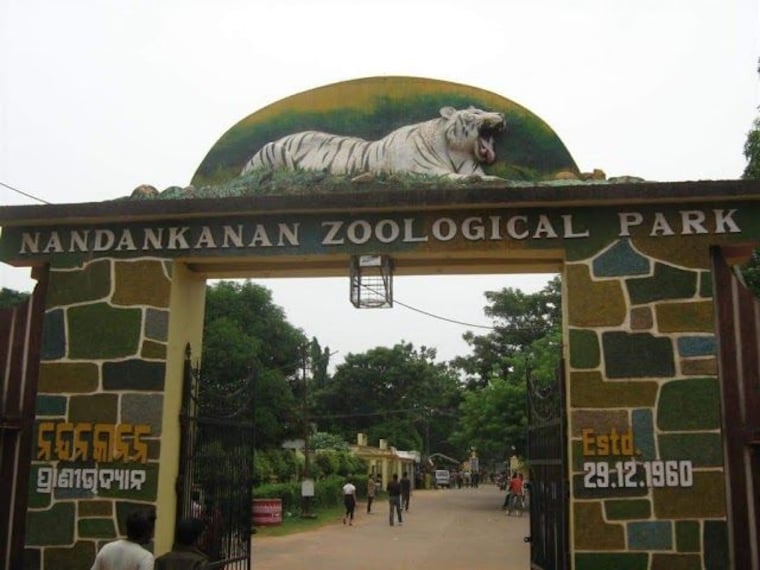 Nandankanan Zoological Park-1